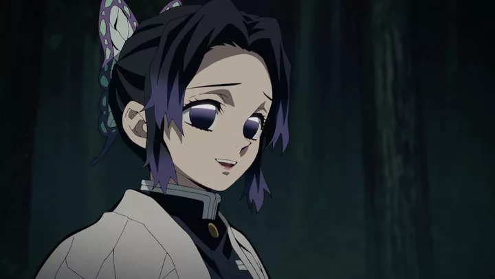 Still from Demon Slayer: Kimetsu no Yaiba episode Episode 21, Against Corps Rules